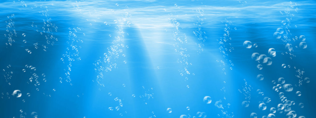 the oxygen in H2O is not bio-available oxygen