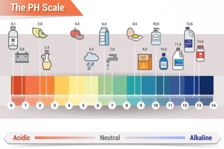 pH chart