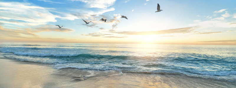 About Us Jersey Shore ocean view