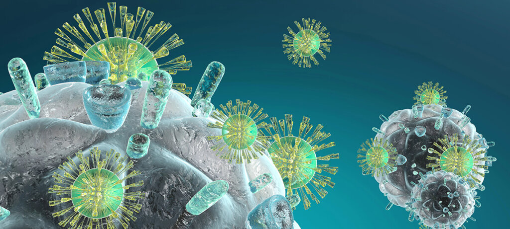 immune system defense against pathogens