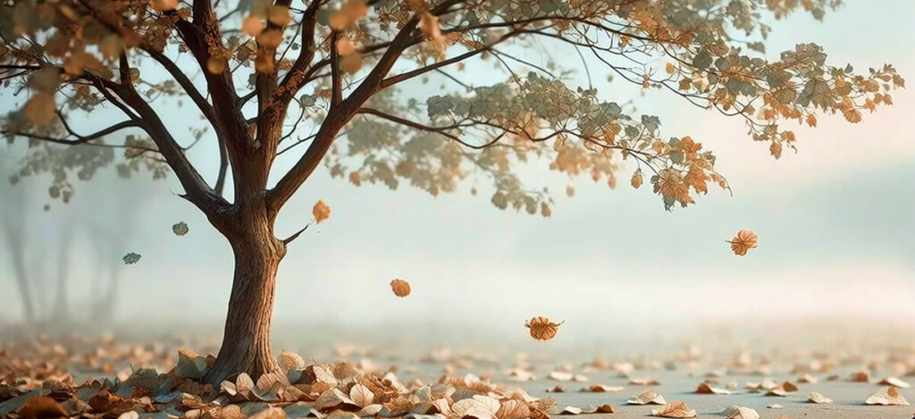 Disease can not live in oxygen. Image of autumn tree with falling leaves.