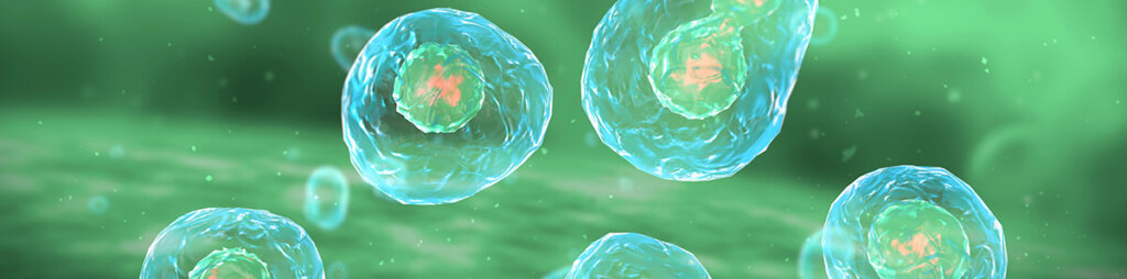 Illustration of cells