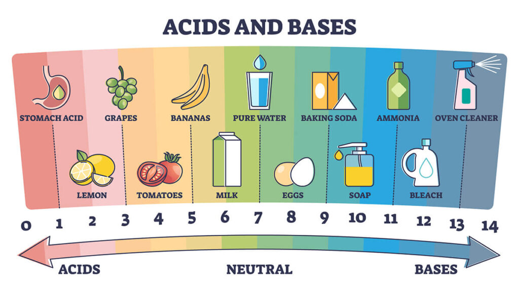Chart showing foods that are acids through bases on the pH scale.
