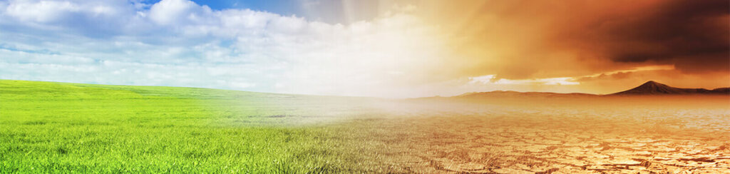 oxygen environment and waste land representing oxygen and detoxification