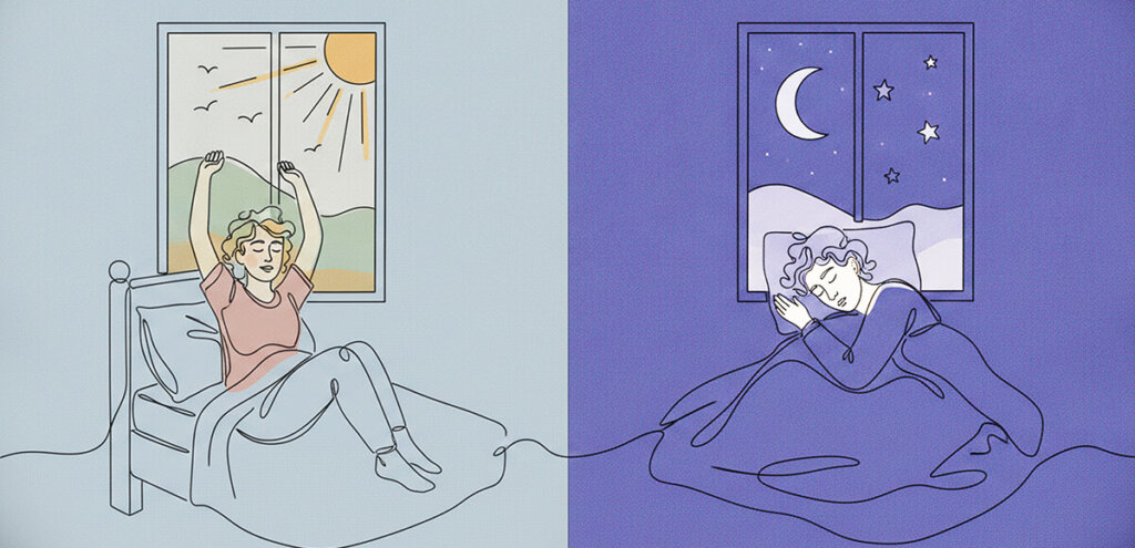 circadian rhythm - waking in morning and going to sleep at night