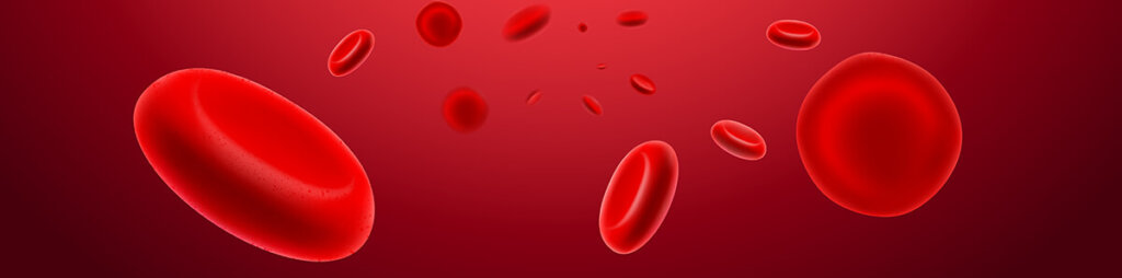 red blood cells showing their biconcave shape: a disc with a slight dimple on each side